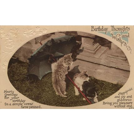 Cats Erecting Umbrella Real Photo Greetings WW1 Postcard