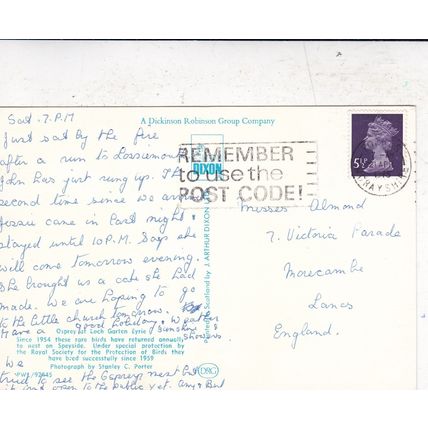 Osprey at Loch Garten Eyrie Postcard posted 1975 VGC