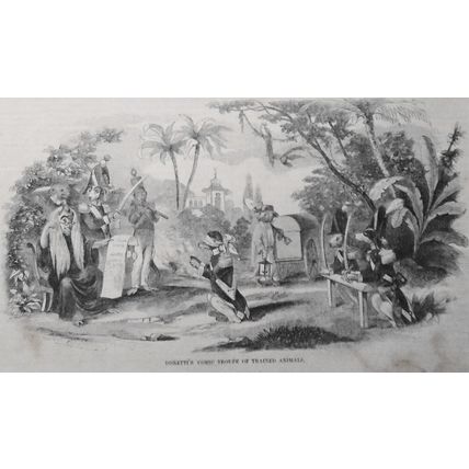Donetti's Comic Troupe of Trained Animals - Gleason's Pictorial July 17, 1852
