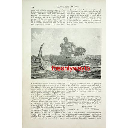 Shark Fishing, Nassau Bar, Bahamas, Book Illustration (Print), 1886/7