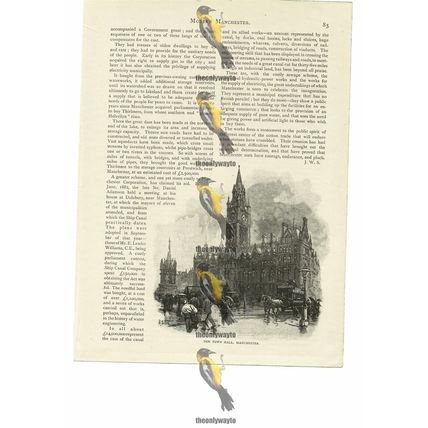 Town Hall, Manchester, Book Illustration (Print), 1894