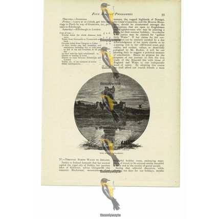Ross Island, Killarney, Ireland, Book Illustration (Print), 1894