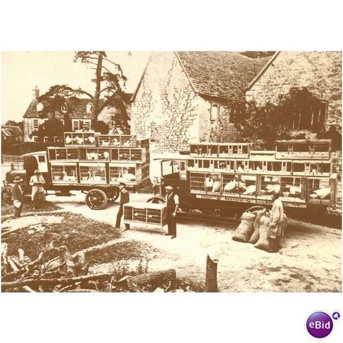 GB PC - GWR - Early Freight, Game Birds For Market 1911