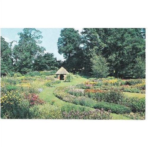 Diss, Norfolk - Bressingham Hall Gardens - Plastichrome postcard c.1960s
