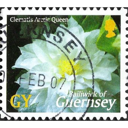 GUERNSEY, FLOWER, Clematis Arctic Queen, black 2004, GY