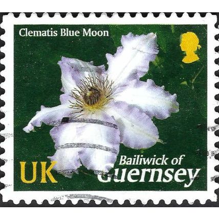 GUERNSEY, FLOWER, Clematis Blue Moon, green 2004, UK