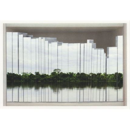 Claudia Jaguaribe Pantanal Brazil Award Photo Postcard