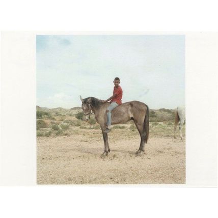 Claudio Rasano Cape Town Johannesberg Horse Photo Award Postcard