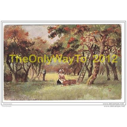 GATHERING APPLES, CUCKFIELD, SUSSEX, ENGLAND, c1910, Postcard