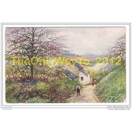 BLOSSOM TIME, PICTURESQUE DEVON, ENGLAND, c1919, Postcard