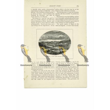 Oakedge, Nr Hagley Hall, Warks, Book Illustration (Print), 1891