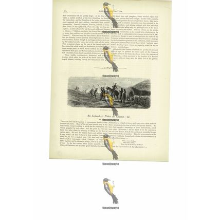 Hospitality In Iceland, Book Illustration (Print), c1880