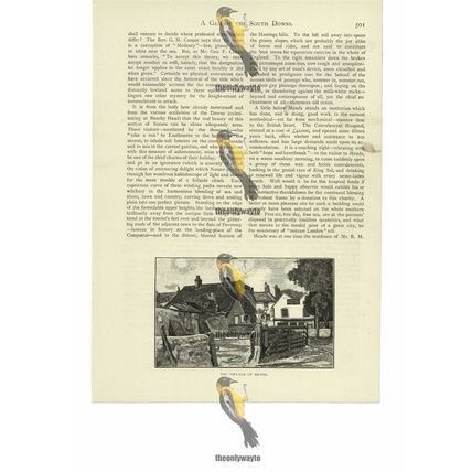 Village Of Meads, Near Eastbourne, Sussex, Book Illustration (Print), 1886