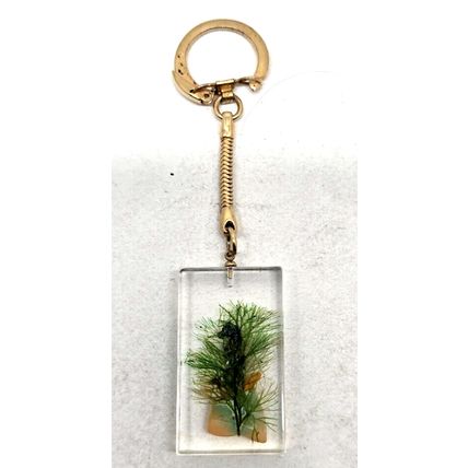 Ft Lauderdale Florida Souvenir Keychain Faux Seahorse Shell Lucite Vintage HTF