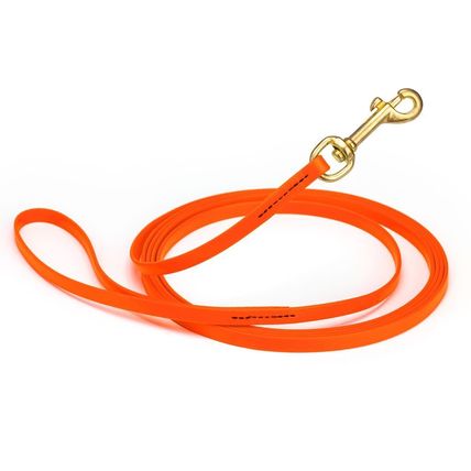 Dog Pet Leash Hunter Orange w/ Brass Hardware W 3/8" - L10'
