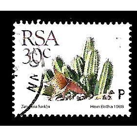 SOUTH AFRICA 1988 SUCCULENTS 30c TAVARESIA BARKLYI SG 662 FINE USED#