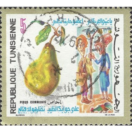 TUNISIA, FRUIT, Pear, olive 1971, 5millim, #2