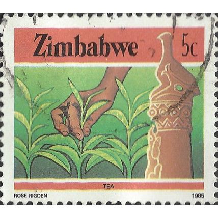 ZIMBABWE, Tea picking, green 1985, 5c, #2