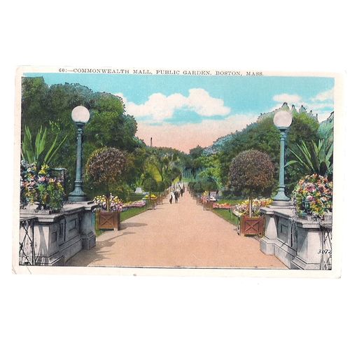 COMMONWEALTH MALL, PUBLIC GARDENS, BOSTON, USA unused postcard c.1910? #