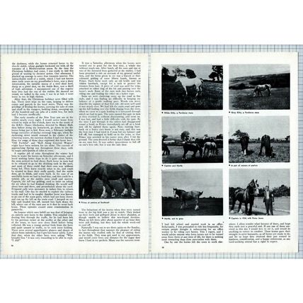 (6232) Raymond Anderton Cart Horse Memories Chaplins - 1968 Article