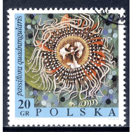 POLAND 1968, Exotic Flowers - Passiflora quadrangularis, 20 G, CTO (2)