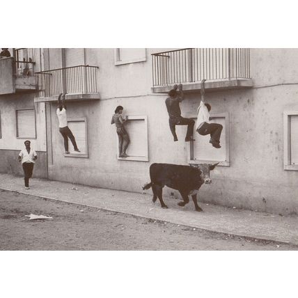 Portugal Climbing House Burglary Race From Mad Bull Chase Photo Postcard