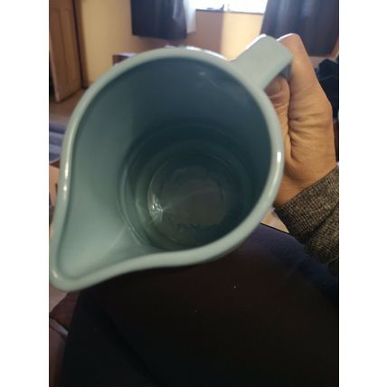 Blue Jug