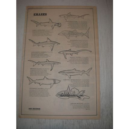 1973 Sharks First Water Album Advertisement - Killers