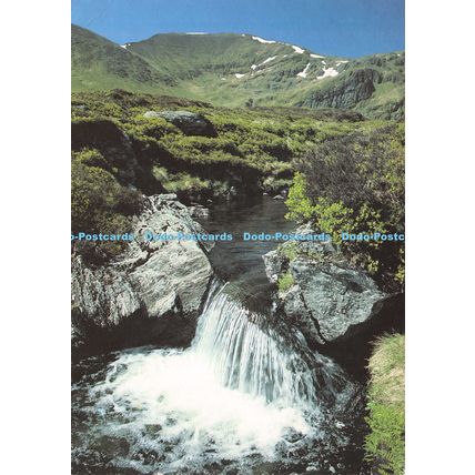 D024961 Ben Lawers. Perthshire. David Mardon. The National Trust. Dixon