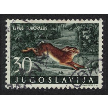 Yugoslavia Brown hare Forest Mammal 1960 CTO SG#959 MI#920 Sc#575