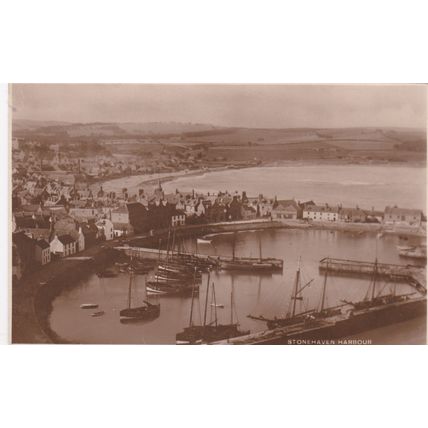 EC58 STONEHAVEN HARBOUR . PRINTED POSTCARD.
