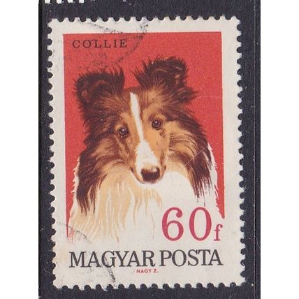 HUNGARY 1967 DOGS 60f COLLIE USED SG2290