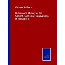 Culture and History of the Ancient Near East: Excavations at Tel Kabri Iii
