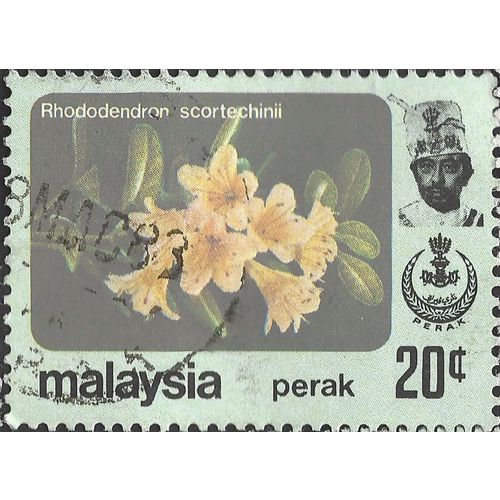 PERAK, MALAYSIA, FLOWERS, Rhododendron scortechinii, green 1979, 20c, #2