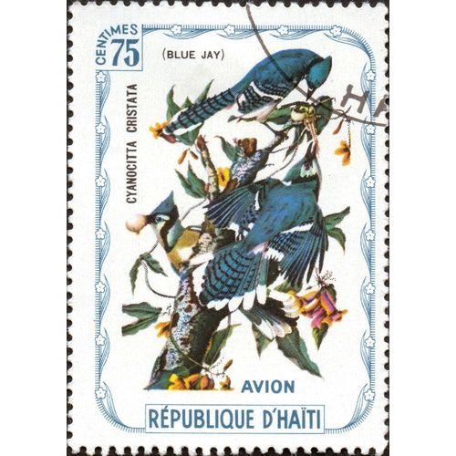 HAITI, BIRDS, Blue Jay, 1975, 75 Centimes