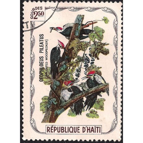 HAITI, BIRDS, Pileated Woodpecker, 1975, 2.50 Gourdes