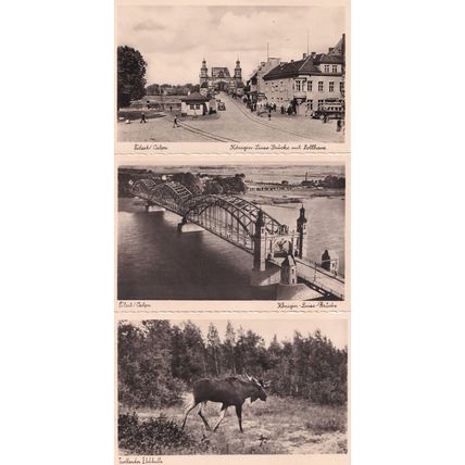 Tilsit Prussia Kalingrad Sovetsk 3x Vintage Postcard s