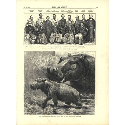 HIPPOPOTAMUS AND HER YOUNG ONE 1872 Johann Baptist Zwecker VICTORIAN ENGRAVINGS