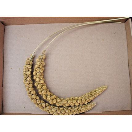 Caged Bird Millet Sprays Sprigs (2 x Sprays of Millet) Canary Budgie Parrot