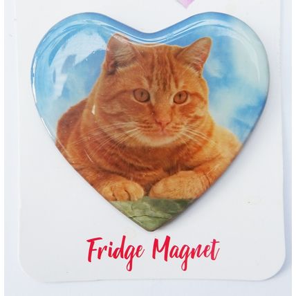 CAT FRIDGE MAGNETS BLACK, BLACK & WHITE, GINGER OR TABBY CAT 3D & hand finished