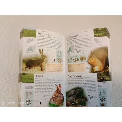 WILDLIFE OF BRITAIN POCKET NATURE BOOK. USED