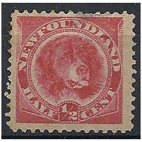 Newfoundland 1887 SG49 1/2c Rose-Red Mounted Mint ...