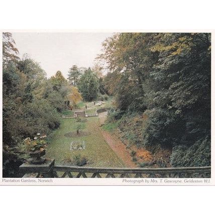 Norfolk Plantation Gardens Norwich Postcard