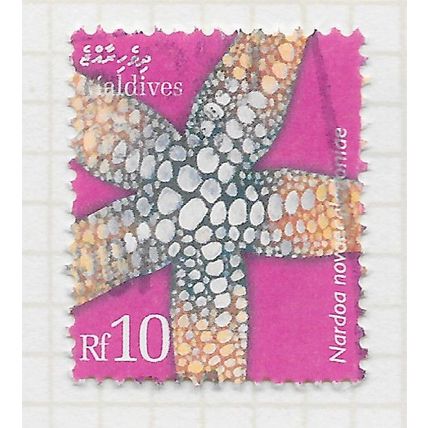 MALDIVES 2004 MARINE LIFE SEA GOLDTIP STARFISH Nardoa novaecaledoniae USED