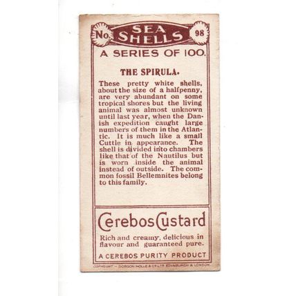 CEREBOS TRADE CARD SEA SHELLS 1925 NUMBER 98 THE SPIRULA