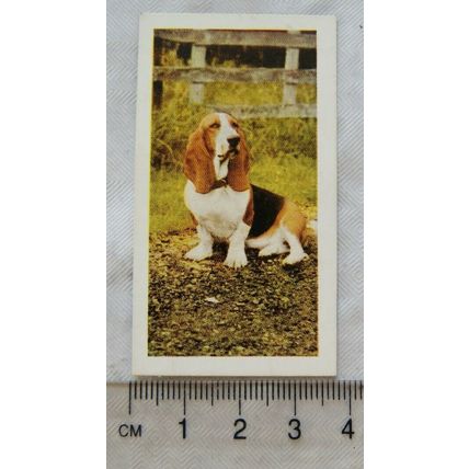 1961 Hornimans Tea Dogs No. 3 Bassett Hound
