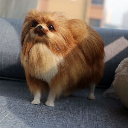 REALISTIC POMERANIAN DOG PLUSH STUFFED TOY Like Real Kids Toy And Adult