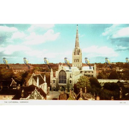 Cathedral, Norwich, Norfolk, KN 116 RP Jarrolds Postcard, 1960s?