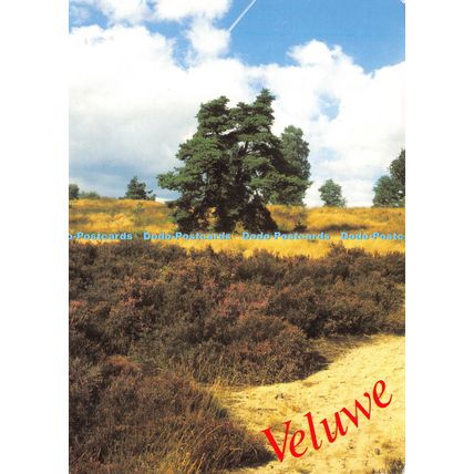 D024544 Veluwe. Uitgeverij van der Meulen Sneek