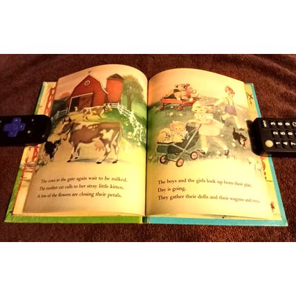 Wonder Book Series It's A Lovely Day By Marguerite Walters Reprinted 1977